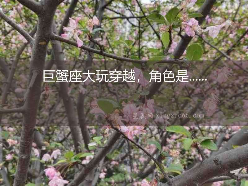 巨蟹座大玩穿越，角色是......
