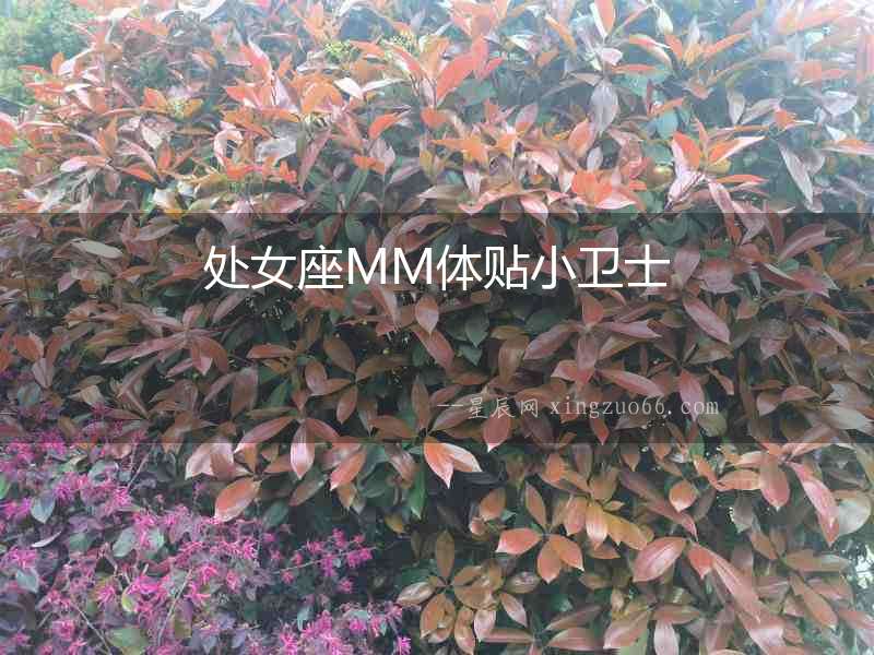 處女座MM體貼小衛士