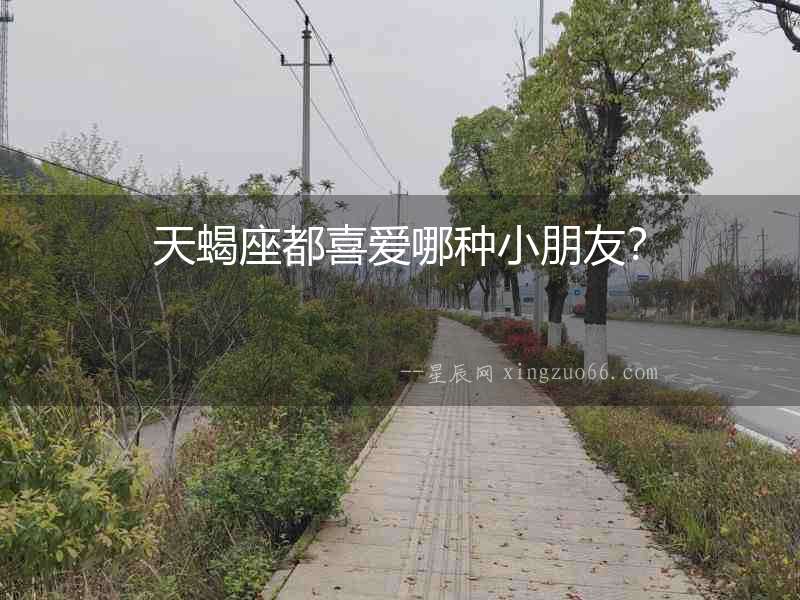 天蝎座都喜愛哪種小朋友？