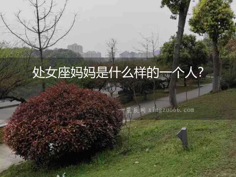 處女座媽媽是什么樣的一個人？