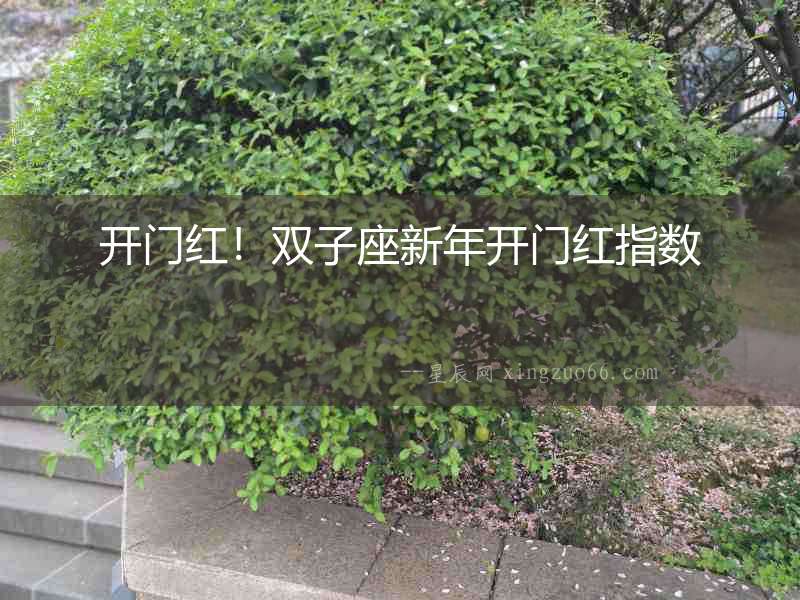 開門紅！雙子座新年開門紅指數(shù)