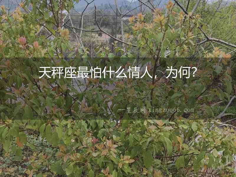 天秤座最怕什么情人，為何？