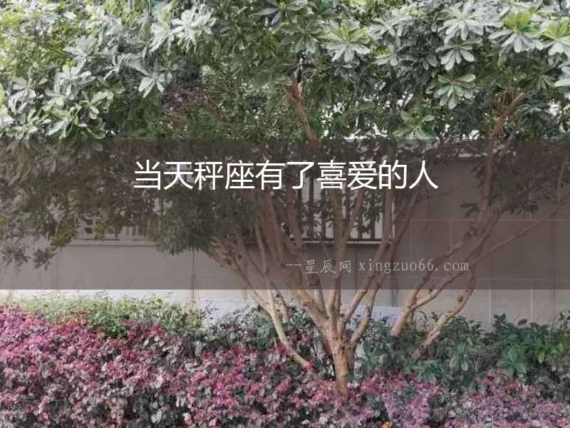 當天秤座有了喜愛的人