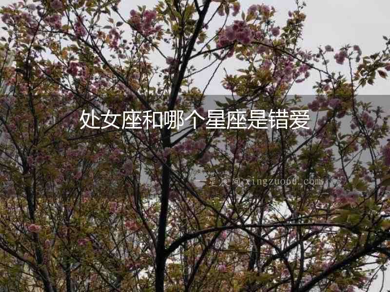 處女座和哪個星座是錯愛
