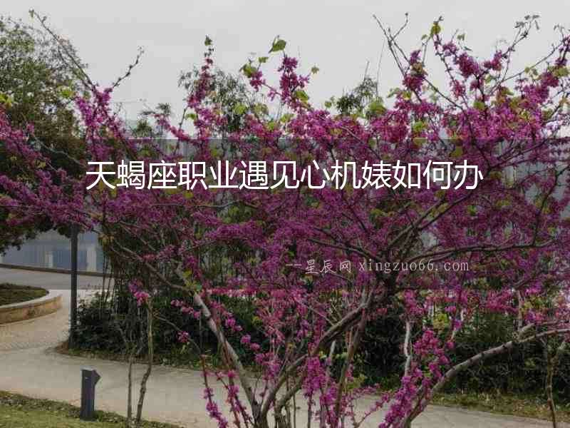 天蝎座職業遇見心機婊如何辦