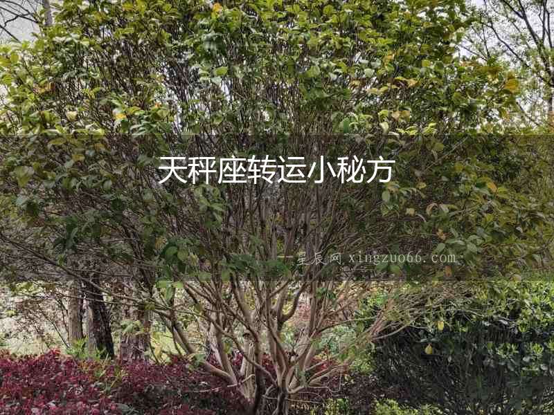 天秤座轉(zhuǎn)運(yùn)小秘方