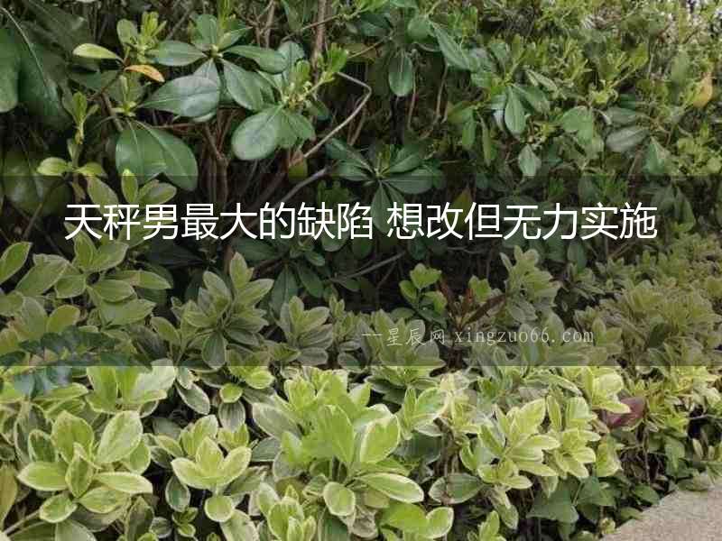 天秤男最大的缺陷 想改但無力實施
