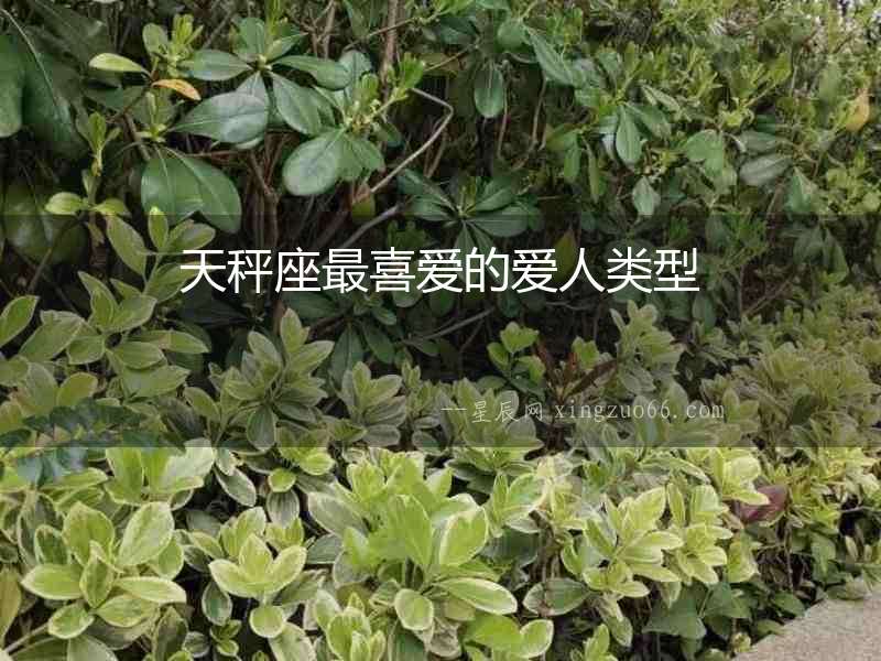 天秤座最喜愛的愛人類型