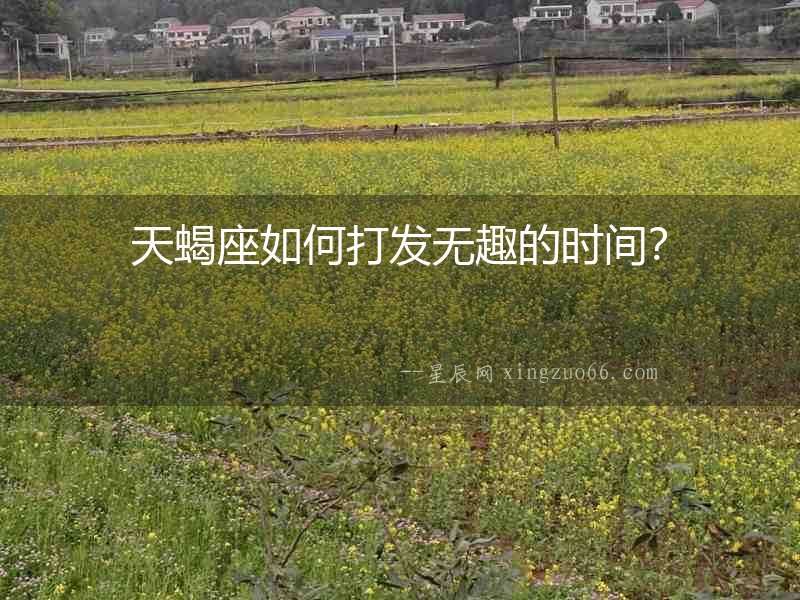 天蝎座如何打發無趣的時間？