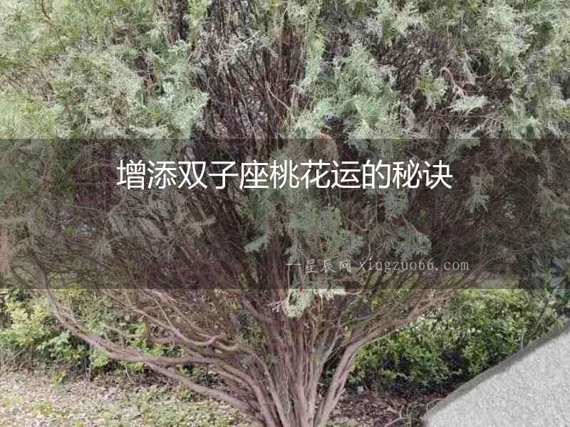 增添雙子座桃花運(yùn)的秘訣