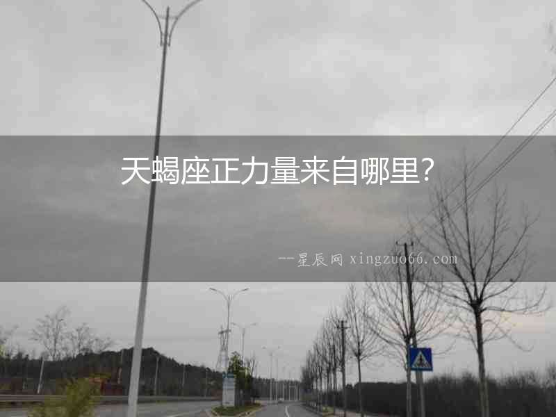 天蝎座正力量來自哪里？