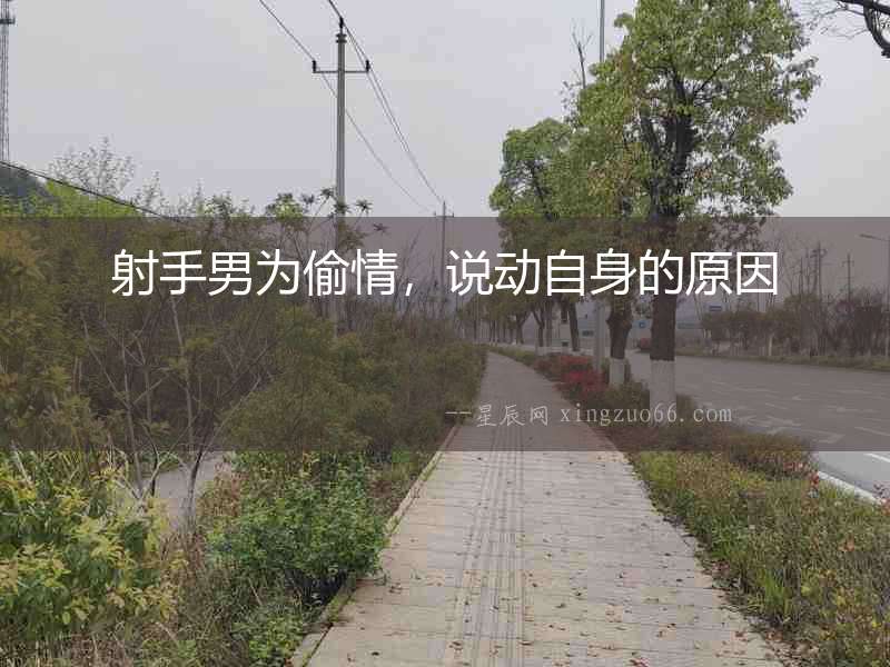 射手男為偷情，說動(dòng)自身的原因