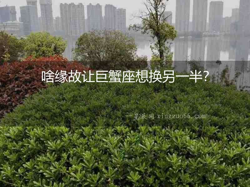 啥緣故讓巨蟹座想換另一半？