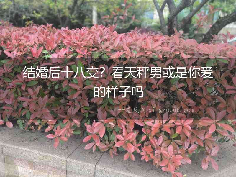 結(jié)婚后十八變？看天秤男或是你愛的樣子嗎