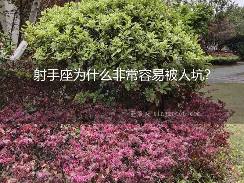 射手座為什么非常容易被人坑？