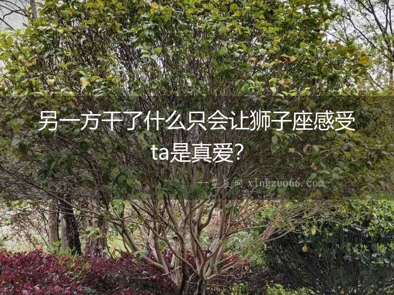 另一方干了什么只會讓獅子座感受ta是真愛？