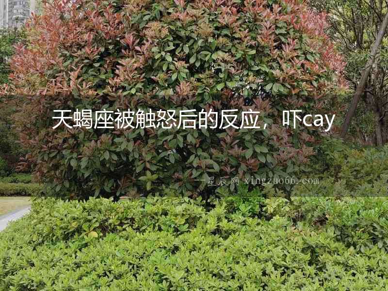 天蝎座被觸怒后的反應(yīng)，嚇cay