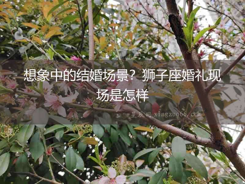 想象中的結婚場景？獅子座婚禮現場是怎樣
