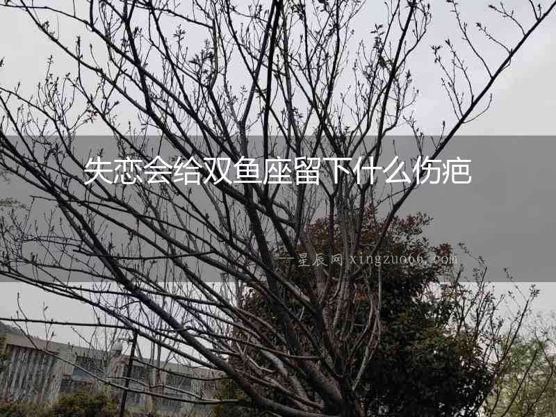 失戀會(huì)給雙魚座留下什么傷疤