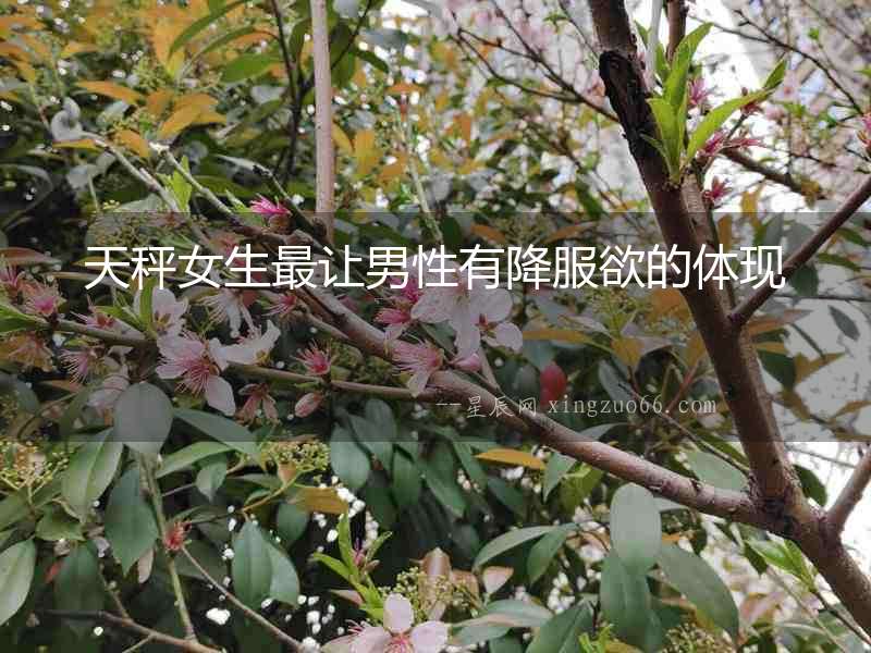 天秤女生最讓男性有降服欲的體現
