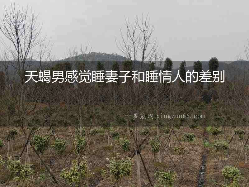 天蝎男感覺睡妻子和睡情人的差別