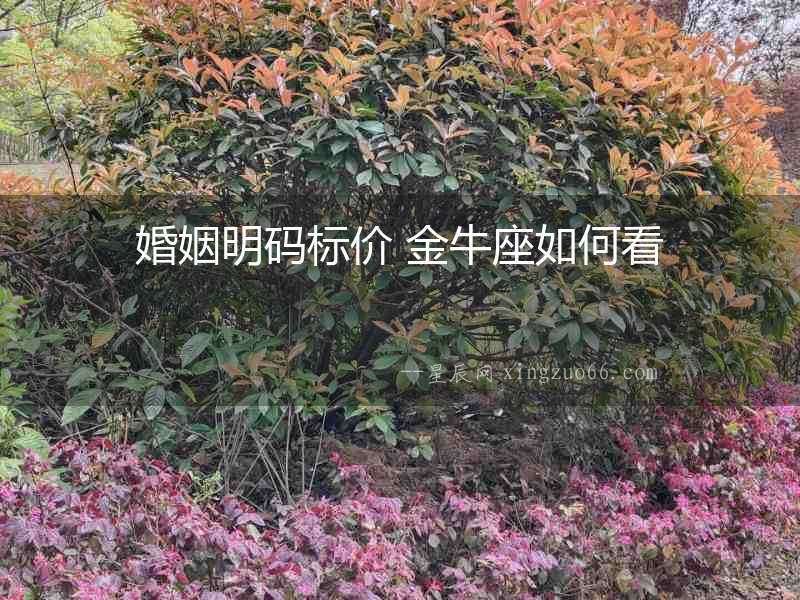 婚姻明碼標(biāo)價(jià) 金牛座如何看