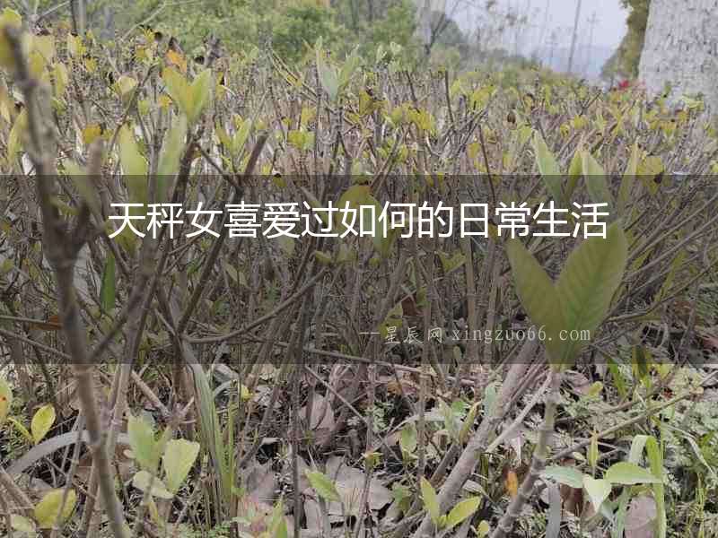 天秤女喜愛(ài)過(guò)如何的日常生活