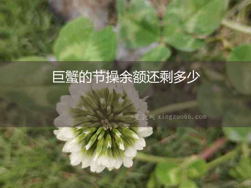 巨蟹的節(jié)操余額還剩多少