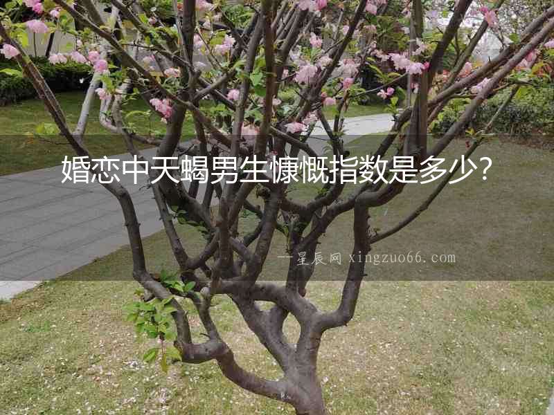 婚戀中天蝎男生慷慨指數是多少？
