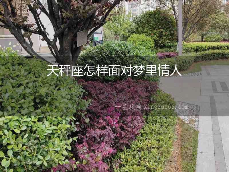 天秤座怎樣面對夢里情人
