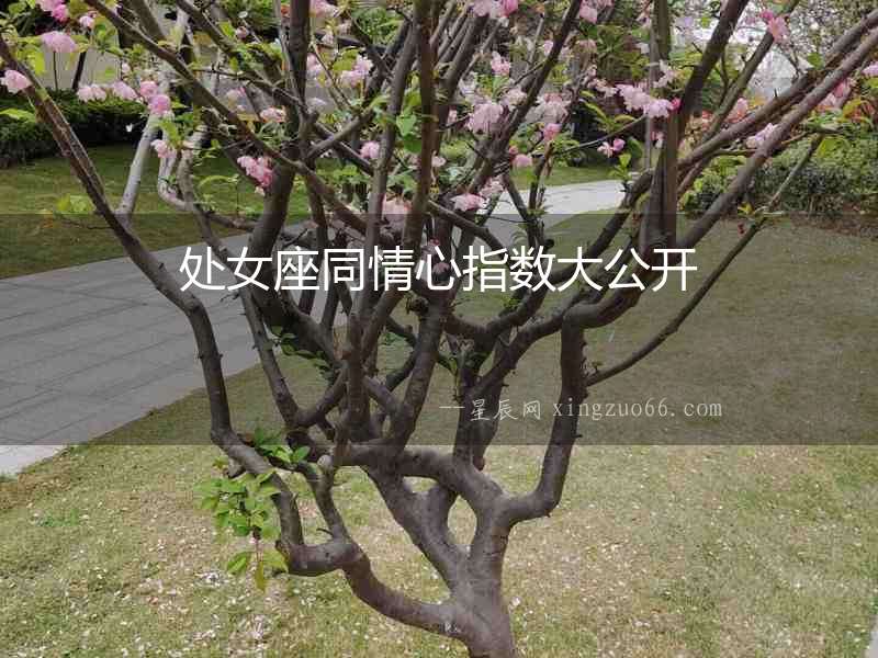 處女座同情心指數(shù)大公開