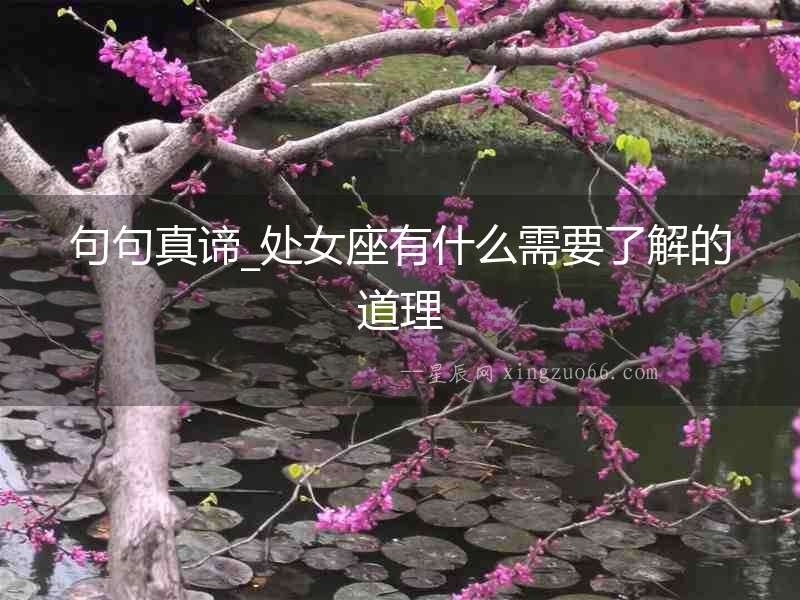 句句真諦_處女座有什么需要了解的道理