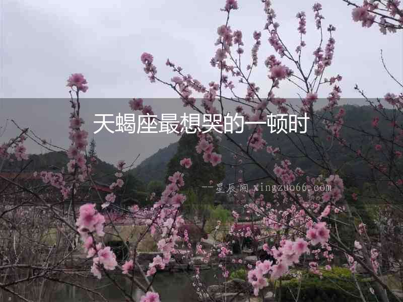 天蝎座最想哭的一頓時