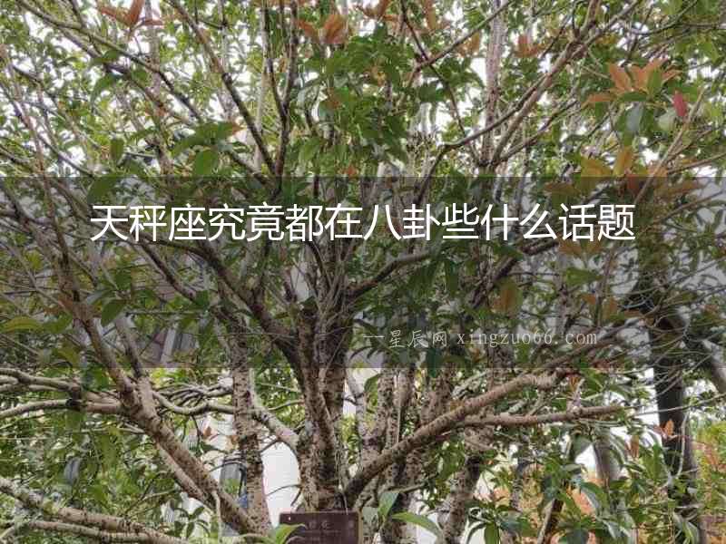 天秤座究竟都在八卦些什么話題