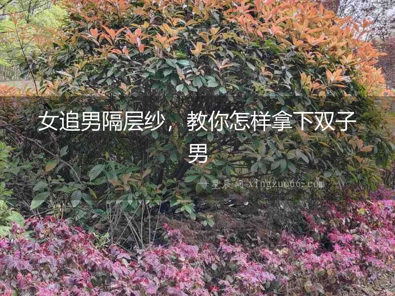 女追男隔層紗，教你怎樣拿下雙子男