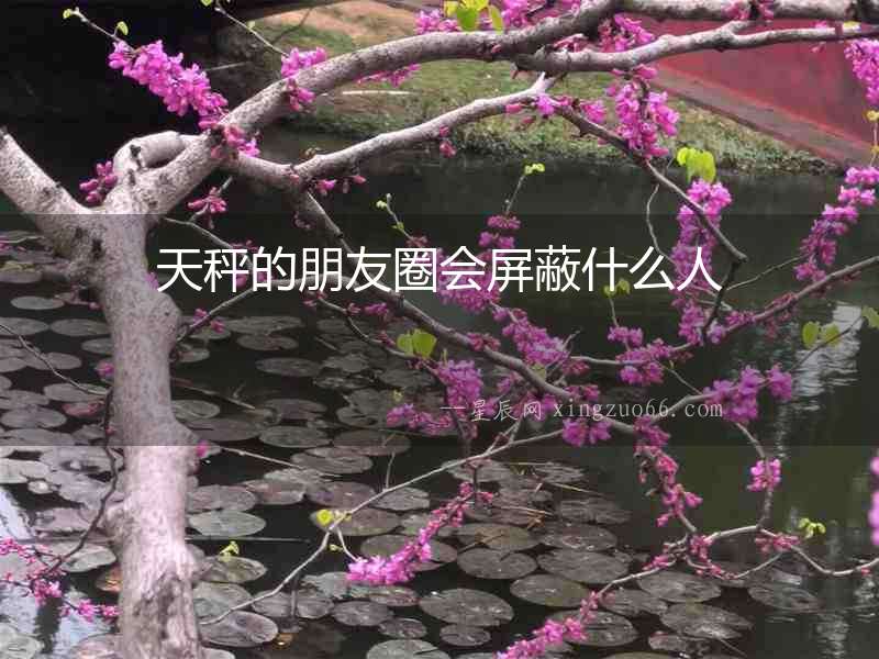 天秤的朋友圈會屏蔽什么人