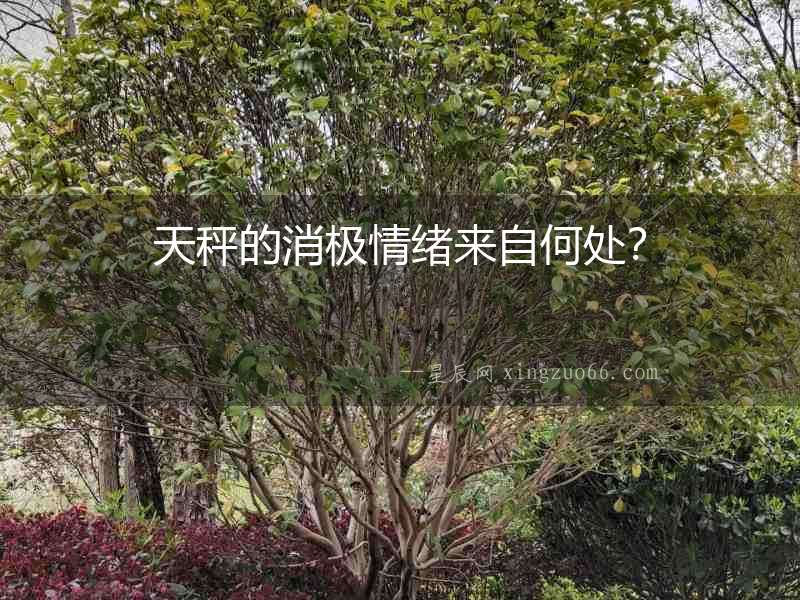 天秤的消極情緒來自何處？