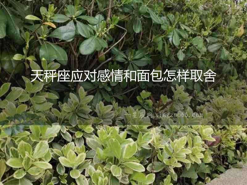 天秤座應對感情和面包怎樣取舍