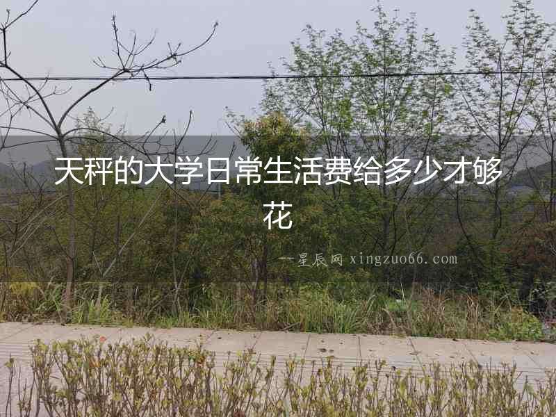 天秤的大學日常生活費給多少才夠花