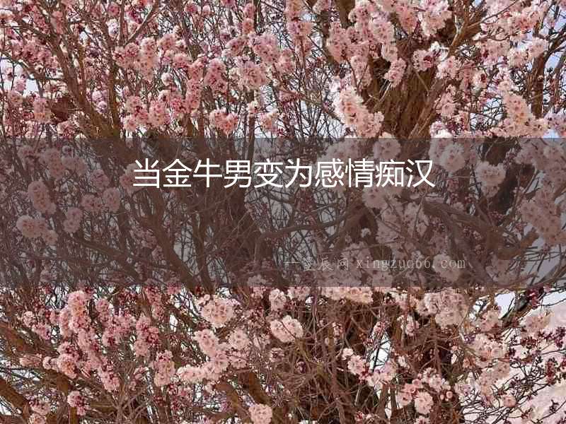當金牛男變為感情癡漢