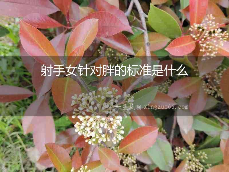 射手女針對(duì)胖的標(biāo)準(zhǔn)是什么