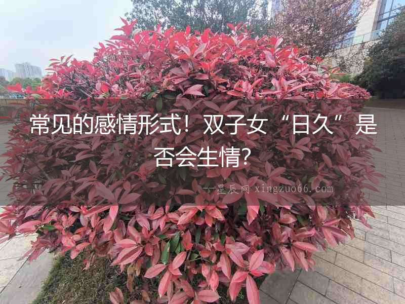 常見的感情形式！雙子女“日久”是否會生情？