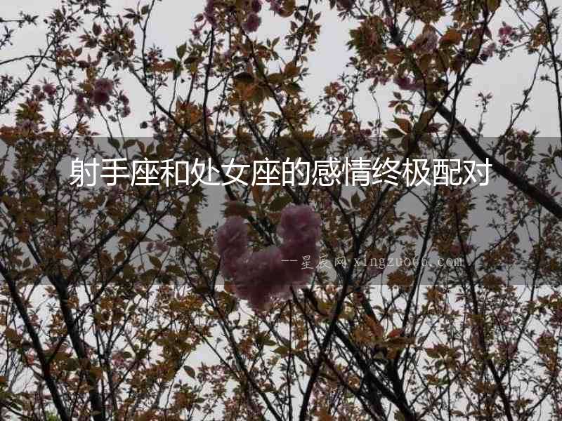 射手座和處女座的感情終極配對(duì)