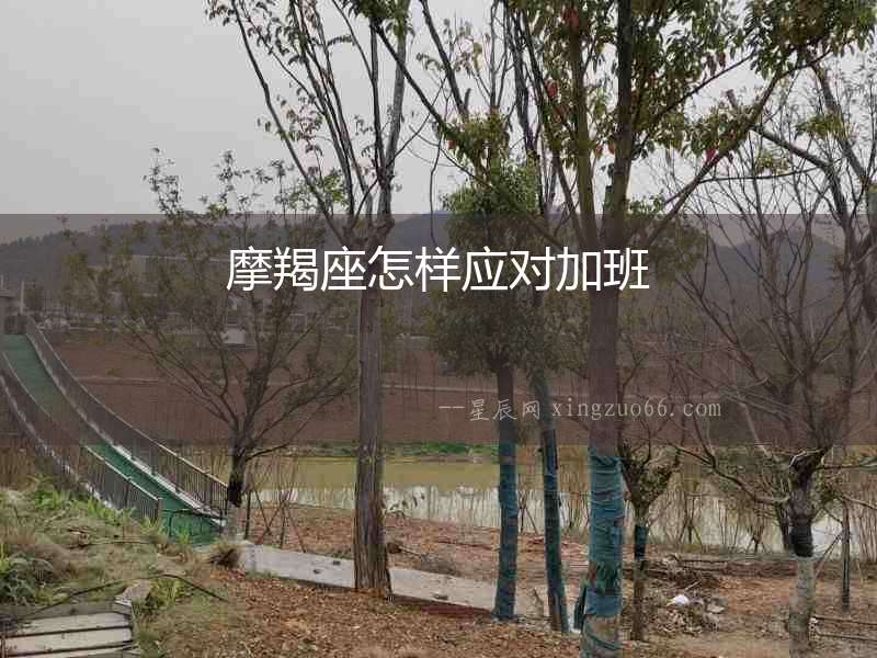 摩羯座怎樣應對加班