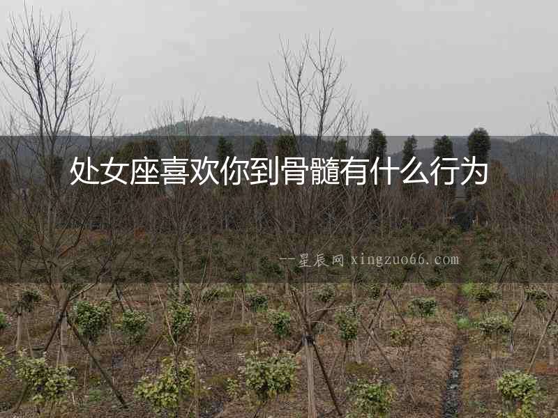 處女座喜歡你到骨髓有什么行為
