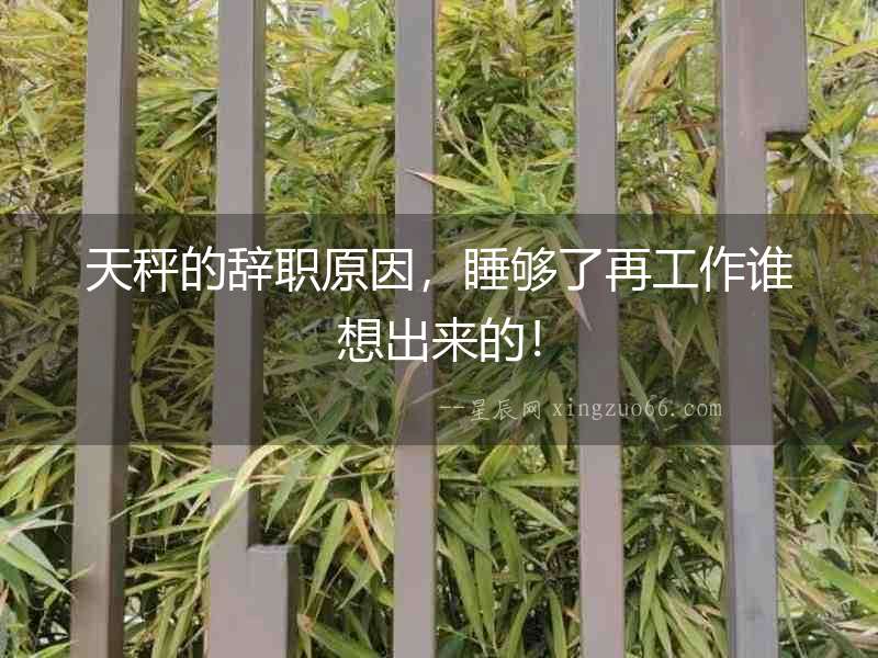 天秤的辭職原因，睡夠了再工作誰想出來的！