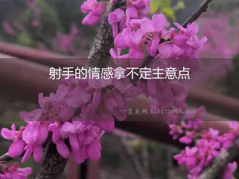 射手的情感拿不定主意點(diǎn)