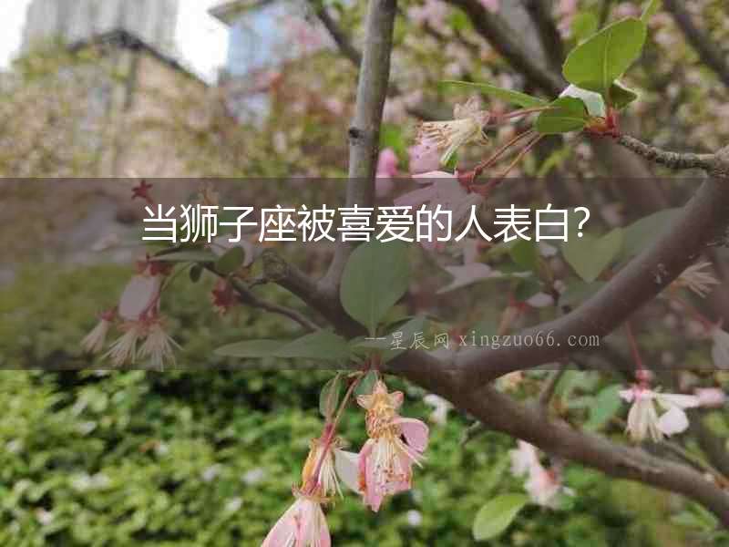 當獅子座被喜愛的人表白？