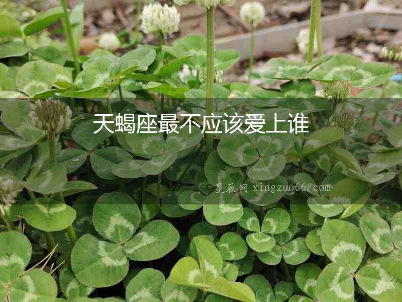 天蝎座最不應(yīng)該愛上誰