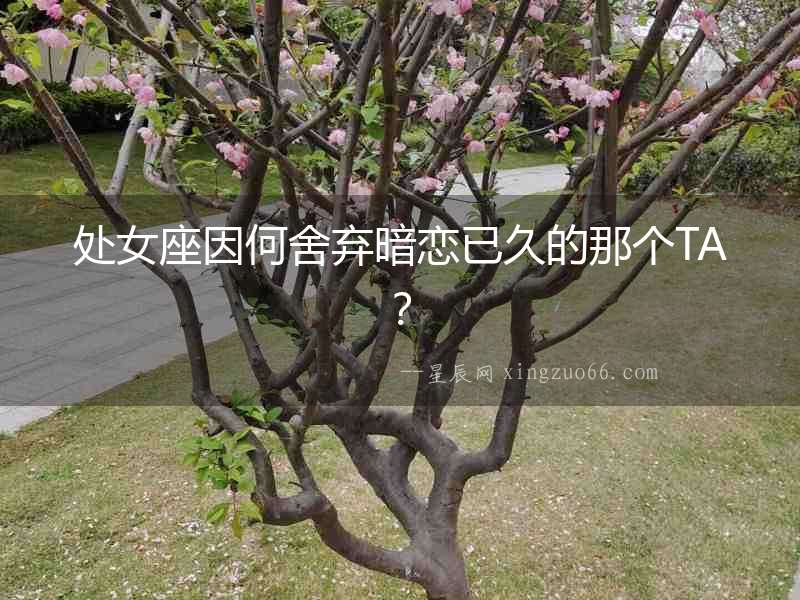 處女座因何舍棄暗戀已久的那個(gè)TA？